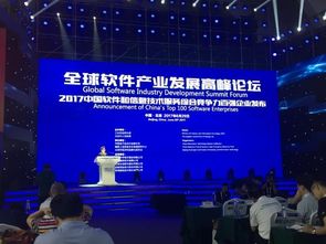 泰岳榮膺中國(guó)軟件和信息技術(shù)服務(wù)綜合競(jìng)爭(zhēng)力百?gòu)?qiáng)，技術(shù)服務(wù)鑄就行業(yè)標(biāo)桿